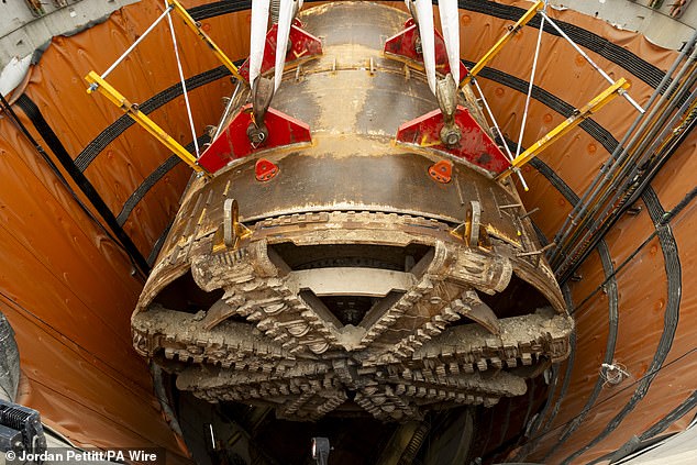 Shocking pictures show the device (pictured) dwarfing the workmen supervising its removal from the ground