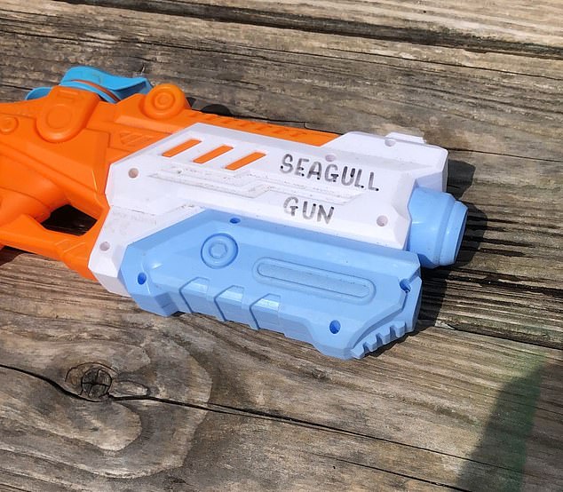 Steven Walker, manager of the iconic Ferry Inn in Salcombe, South Devon, has placed loaded water guns - marked 'Seagull Gun' in marker - on every beer garden table (pictured)