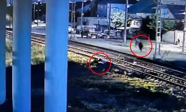 Luckily for the man who had fallen, the brave onlooker, who had been standing on the opposite side of the track, quickly realised what had happened and instinctively sought to save him