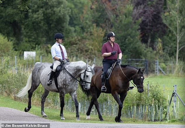 The royal wore a short-sleeved burgundy button down shirt for the outing, paired with black leather riding gloves and his typical white-striped riding helmet