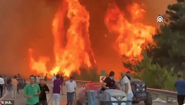 Hundreds flee as wildfires spread rapidly to Turkey's fourth-largest city, Bursa
