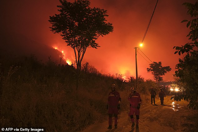 Firefighters attempt to extinguish a wildfire as smoke and flames rise from a forested area in the Gursu district of Bursa early today