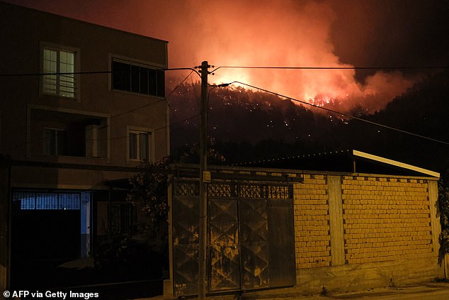 Smoke and flames rise from a forested area during the latest major wildfire in Turkey