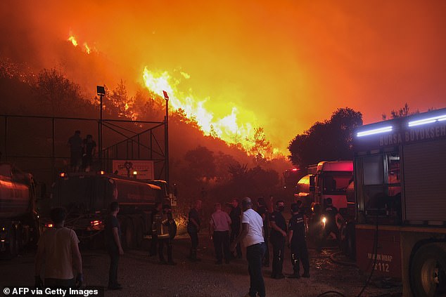 Residents and firefighters attempt to extinguish a wildfire as smoke and flames rise from a forested area in the Gursu district of Bursa