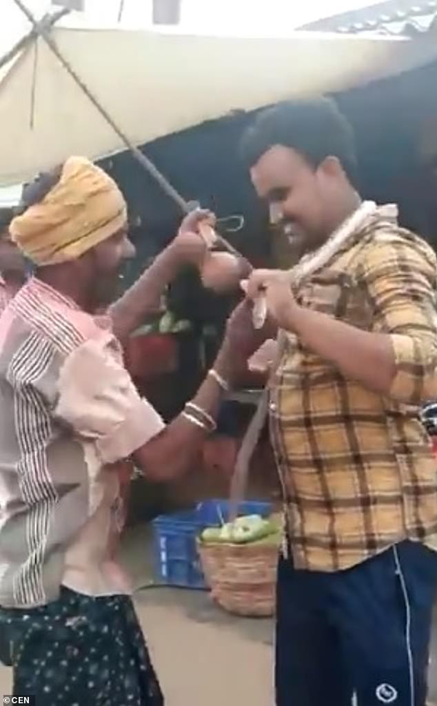 Ch Jagadish, 24, appeared brave as he took the snake from Gurunadham Ramesh and placed it around his neck in the village of Sullurpeta, Andhra Pradesh
