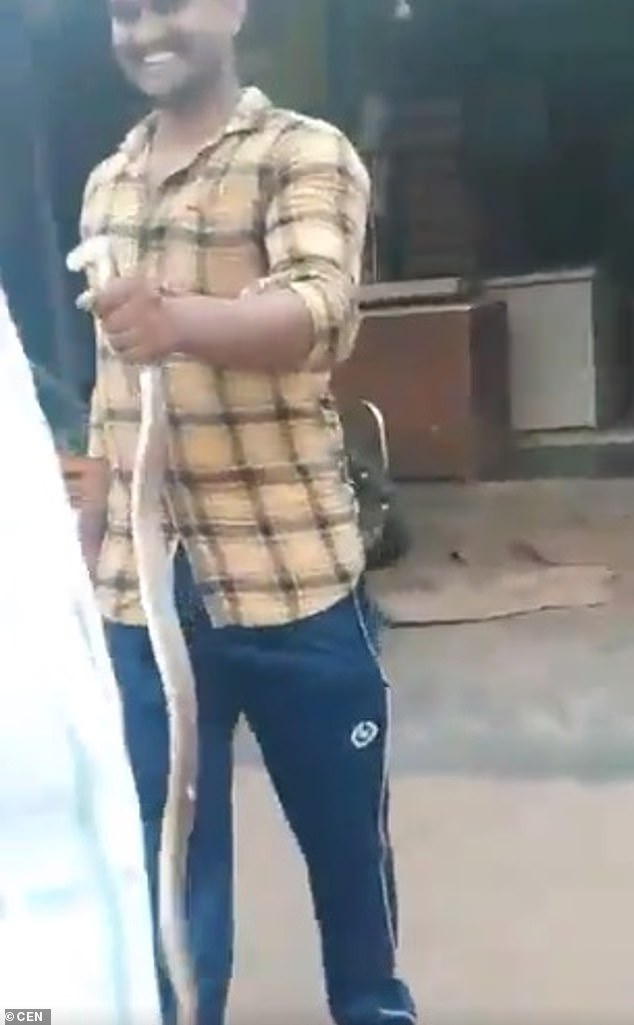 According to local media, the snake charmer fled the scene after the man began to exhibit signs of illness