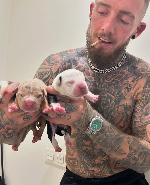 A heavily tattooed Jonny Smyth shows off puppies for the camera