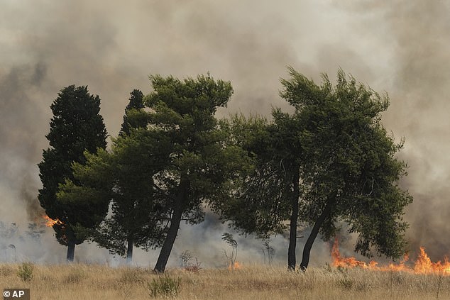 Smoke fills the air as blazes rip through grass areas in Podgorica earlier today