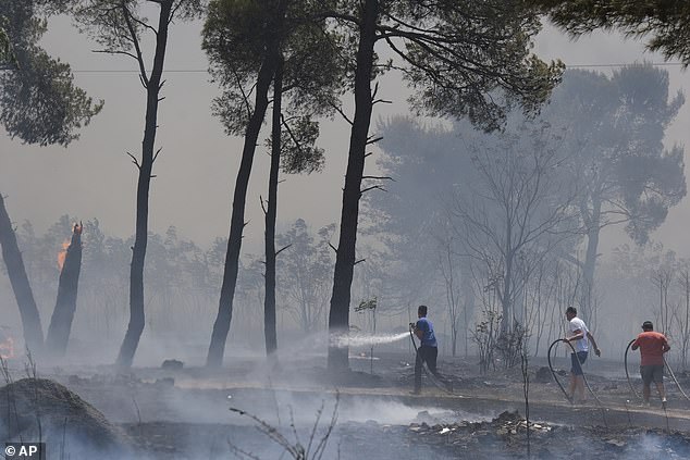 Firefighters battle a wildfire near Montenegro in Podgorica on Sunday afternoon
