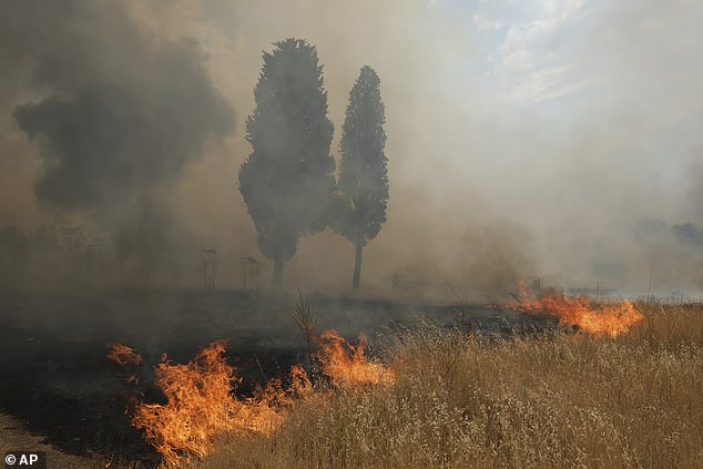 Flames rip through the landscape near Podgorica, Montenegro, today amid another wildfire