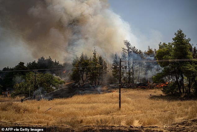 Flames and smoke rise from a burning forest during a wildfire near Psachna Village on Evia (Euboea) island, the second-largest Greek island, today