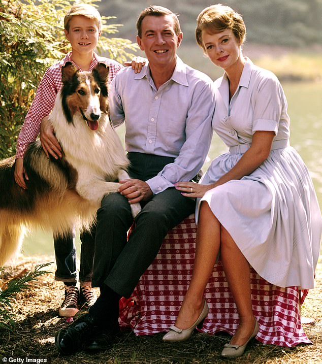 'I applied my own maternal instinct in both of these shows,' said June, who is pictured on Lassie with Jon Provost (left) and Hugh Reilly (center) in 1955