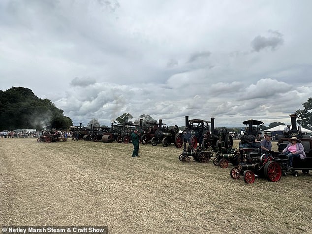 It came after the woman reportedly got her hair trapped in a set of moving rollers on the floor of the ride, a witness said. Pictured: File photo of Netley Marsh Steam and Craft Show