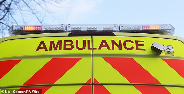 Emergency services rushed the teen to hospital - and event organiser Charles Cole dubbed it a 'freak accident', which is under investigation. Pictured: File photo