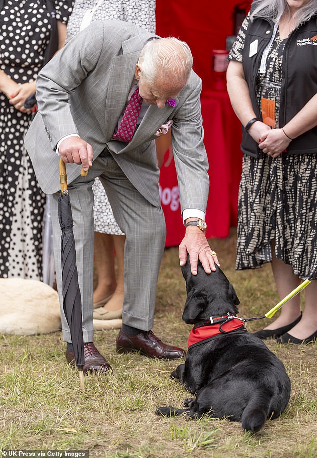 The King even bent down to give a friendly black dog a pet while greeting members of gardening and horticultural clubs