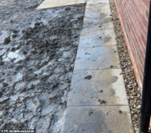 Story Homes rejected the criticism and say that Dean caused the issue himself by installing an Astroturf lawn