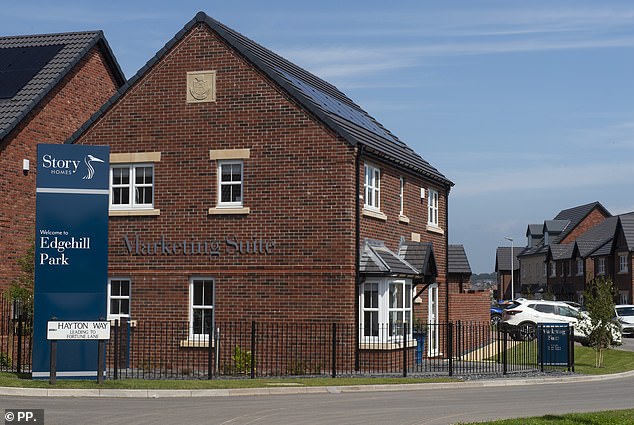 David Little, 60, and wife Claire, 47, paid £380,000 for their large detached home two years ago and £1,200 for garden turf