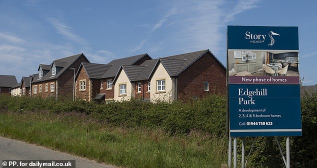 Homeowners claim housebuilder Story Homes has failed to provide adequate drainage