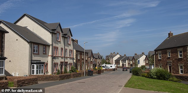 Homeowners on the estate told Mailonline they have had to fork out tens of thousands of pounds to try to rectify the gardens behind their luxury homes