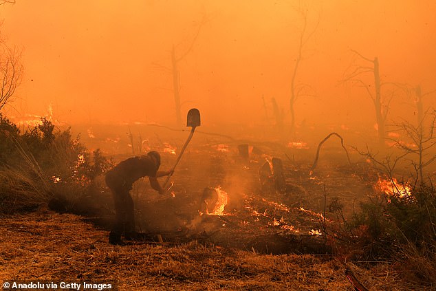 Smoke and flames rise as firefighting teams respond from the air and on the ground to a forest fire in the area
