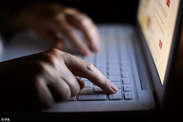 She made £6,000 from victims in 2014 - and another £4,000 in 2015 with the same V-Festival trick (file image)