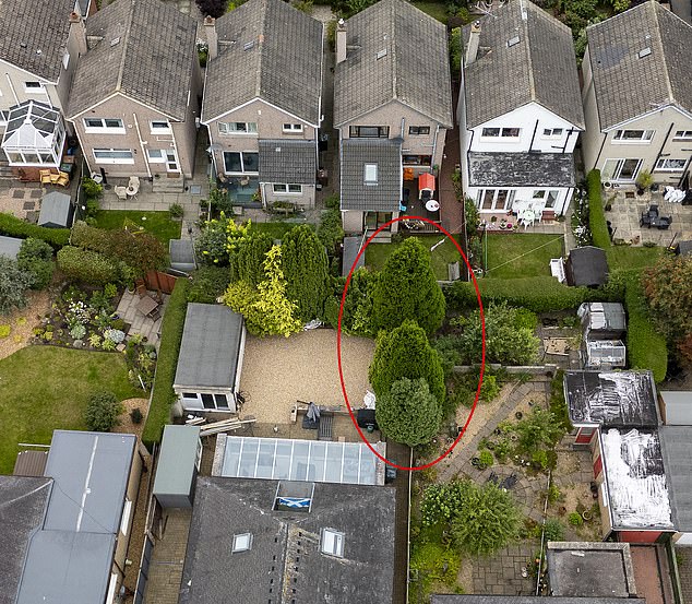 Mr Smith said the trees (circled) have created a 'green wall' that went all the way along a fence dividing their gardens, preventing sunlight from getting into both the Smiths's garden and through the windows of their home
