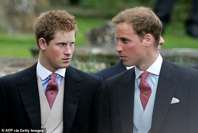 Harry and William are pictured in 2006, the year before Burrell's The Way We Were: Remembering Diana was published