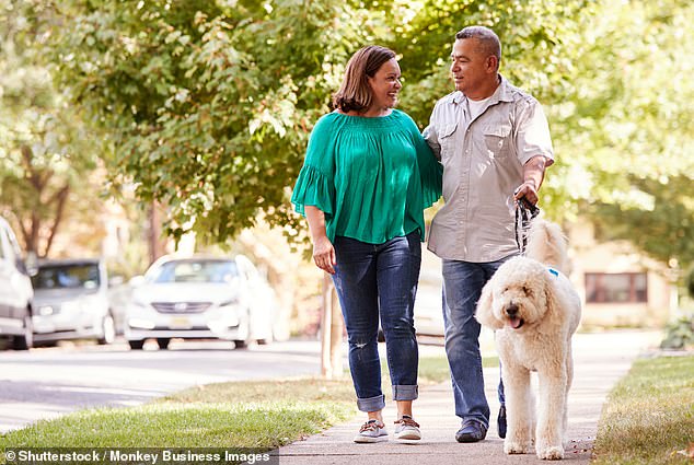 Norwegian and Danish researchers have recently revealed that being on your feet for over an hour-and-a-half every day could slash the risk of chronic lower back pain