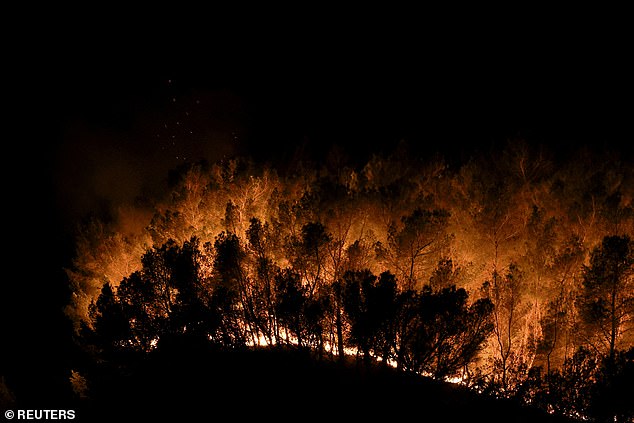 France has also seen its fair share of fires as trees burn in Martigues