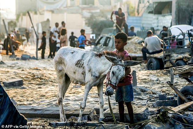 A boy strokes the neck of a donkey as they stand amidst rubble following overnight Israeli bombardment in southern Gaza, on July 28, 2025