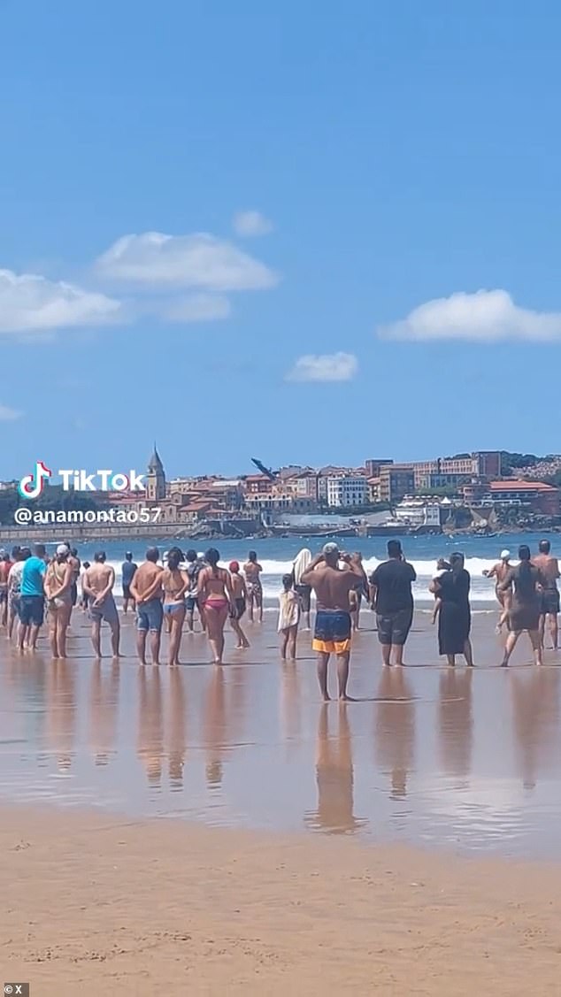 Some beach-goers can be heard letting out a scream as the plane seemingly hurtles towards the sand after performing an acrobatic stunt
