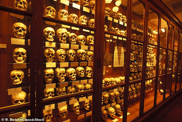 In November, two skulls were found to belong to Williamson's deceased children in Philadelphia's Mütter Museum, a medical museum that stores over 6,600 human remains