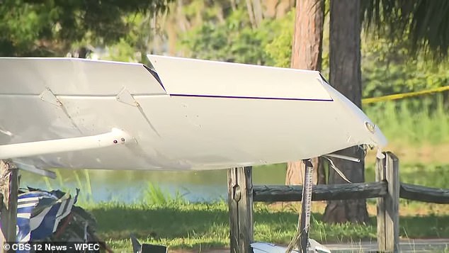 Two people on board the plane survived while five people driving in a car were also hurt