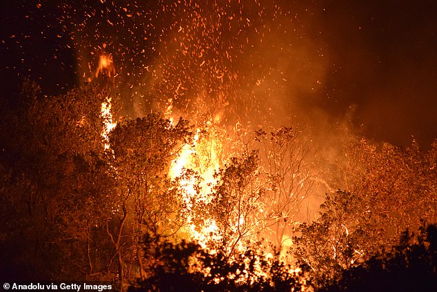 Officials fighting to keep the fires under control have called the situation 'apocalyptic', warning that it can take 'days' to control the worst of the infernos