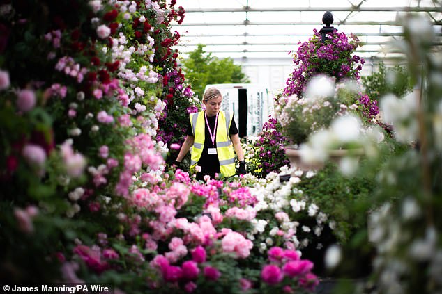 A worker makes finishing touches to a garden at the RHS Chelsea Flower Show, which opens at the Royal Hospital Chelsea in London next week