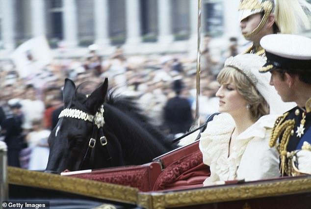 Diana said: 'I realised I had taken on an enormous role but had no idea what I was going into - but no idea'