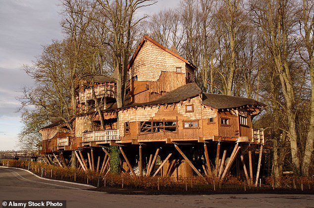 Alnwick Treehouse, in Northumberland, is known as the biggest in the world and features two rope bridges threading through the surrounding woodland