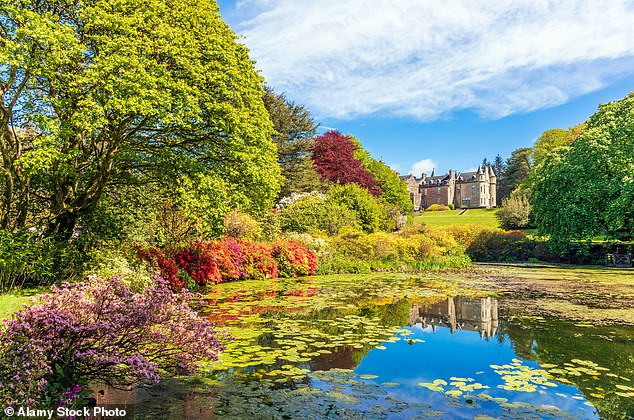 The vibrant Azalea Pond, with Glenapp Castle peeking through in the distance