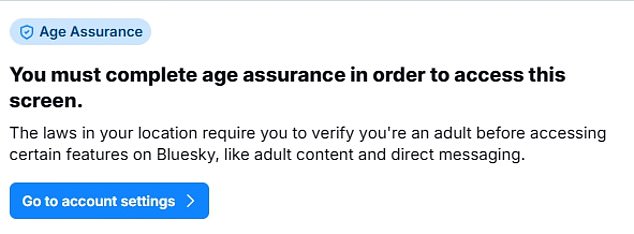 X alternative Bluesky is also blocking users from sending direct messages until they have proven their age