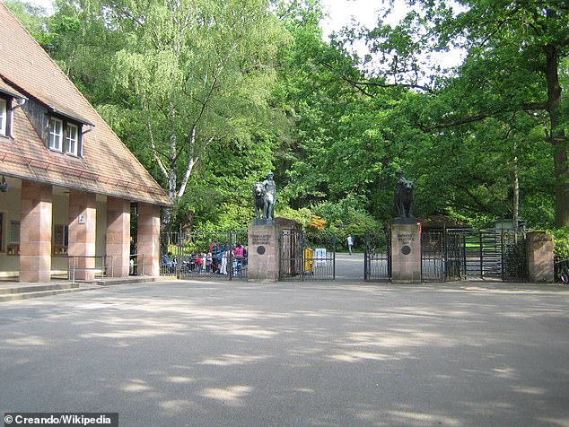 Officials at the zoo argued that a lack of space resulted in additional stress for the primates and more violent arguments between these otherwise social animals