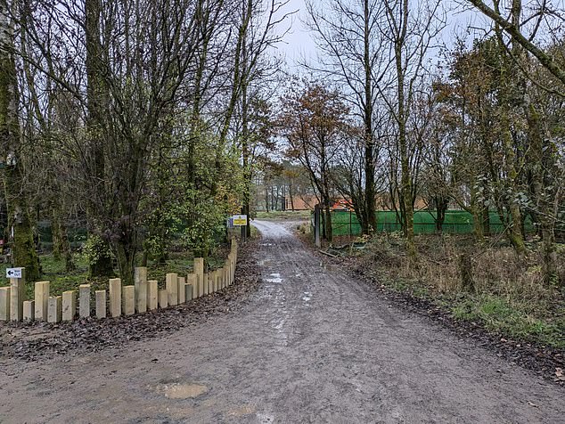Jacquie Robinson, who also invested £85,000 in a holiday lodge in the Dumfries and Galloway site through Advantage Investment Ltd in October 2022, said she initially received the payments through to her account which allowed her to 'semi-retire'