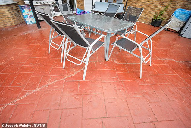 Another backyard in Middle Meadow, where a crack is running through their patio