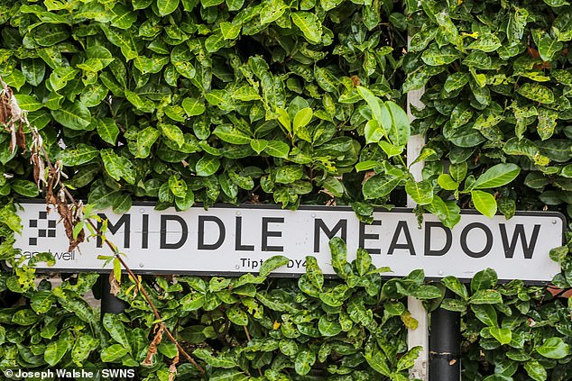 The Transport for West Midlands who are responsible for the Midland Metro Alliance, said has launched a probe into the garden collapses (Pictured: A sign for Middle Meadow)