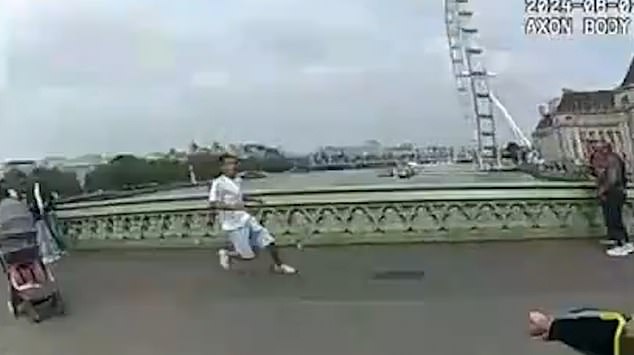 August 2024: Stoica attempts to flee police who wanted him for illegal gambling and breaching a deportation order