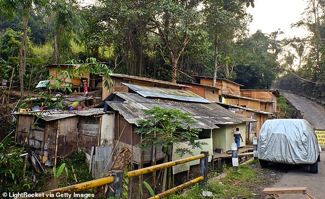 Mr Mackarness said Bali is overcrowded, dirty, and rundown, blaming mass tourism (stock image)
