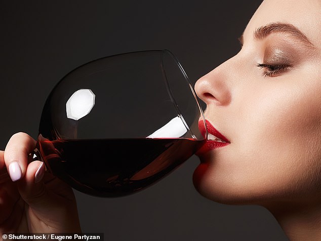 Sin tax: Alcohol levies raised £12.6bn in 2024-25. Of this, £4.7bn came from wine, £4.2bn from spirits, £3.5bn from beer and £220m from cider