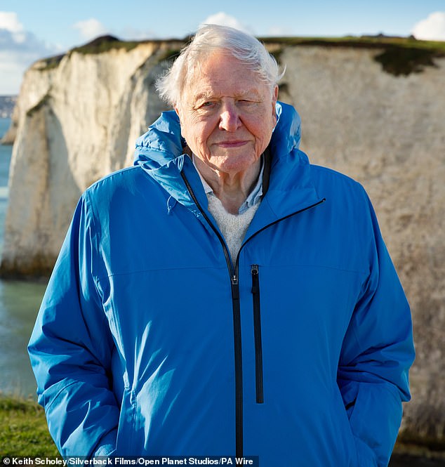 The biologist still appears on TV screens at the impressive age of 99, and his new five-part series, aptly named Parenthood, narrates the stories of animals raising their young