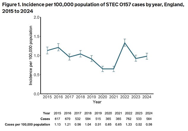 UK Health Security Agency (UKHSA) said 2,544 confirmed cases of Shiga toxin-producing Escherichia coli (STEC) were reported last year—a 26 per cent increase year on year