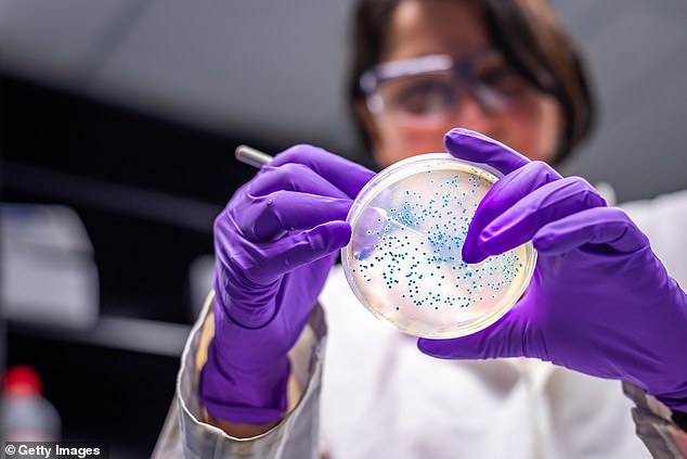 Some studies have suggested that chronic exposure to certain toxin-producing strains of E. coli, including STEC, may play a role in bowel cancer development
