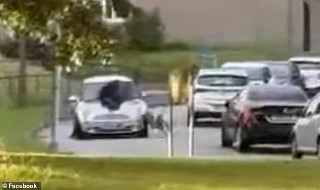 The footage ends as the Mini drives onto the road with a crunch, the dog continuing to follow